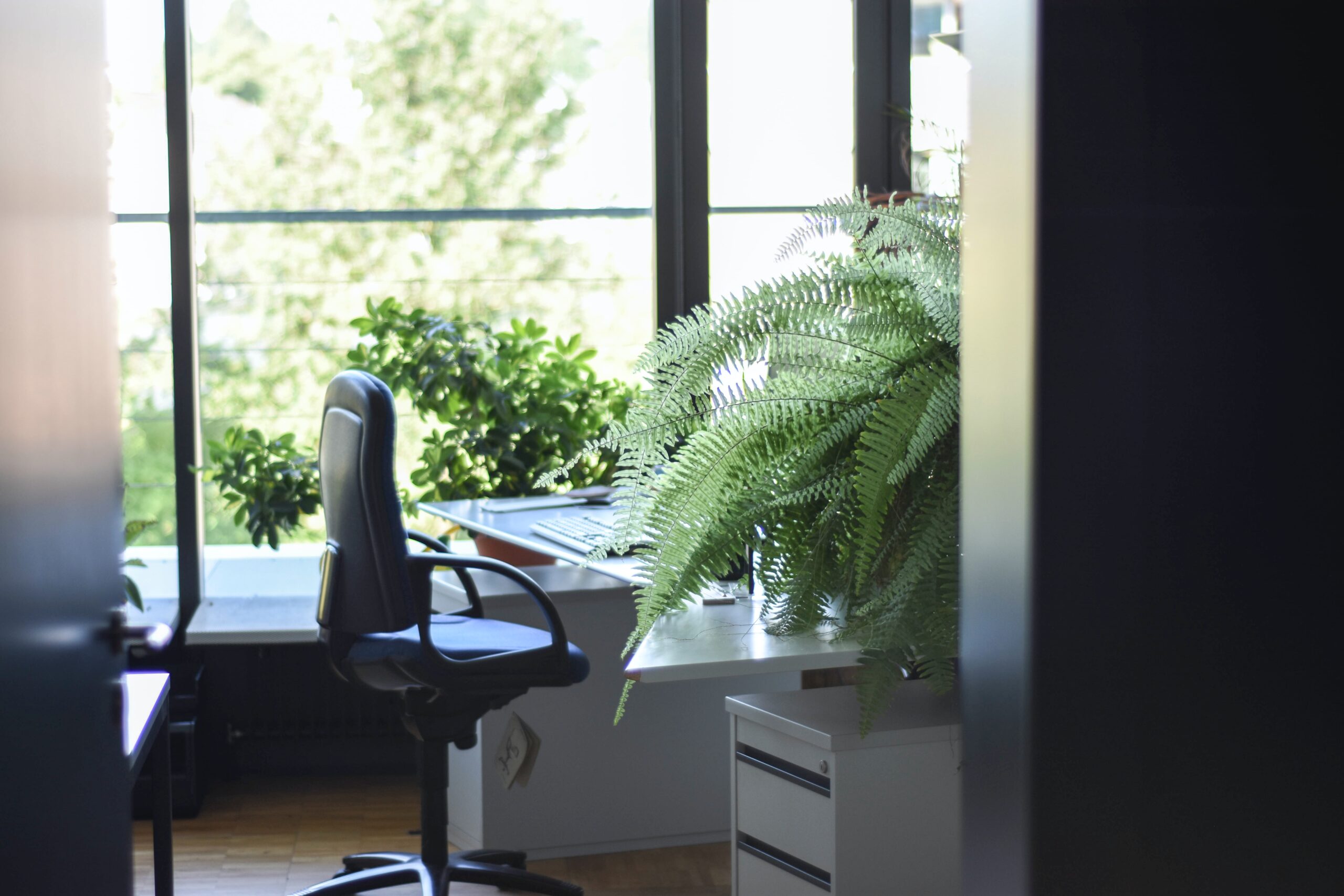 Chair with a desk with a view of the garden | Living in Italy and Working in Switzerland